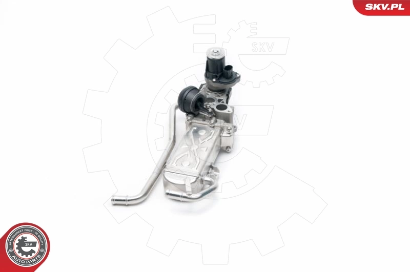 EGR Valve 14SKV096