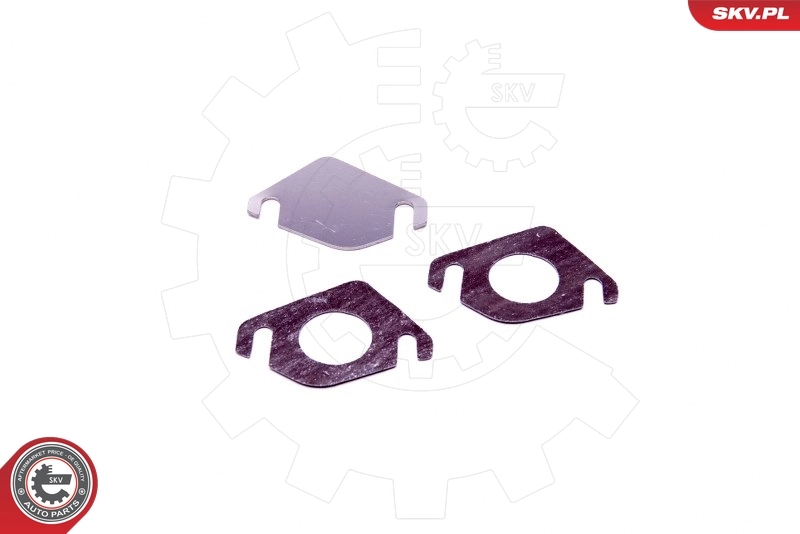 ESEN SKV 14SKV545 Repair Set, EGR valve