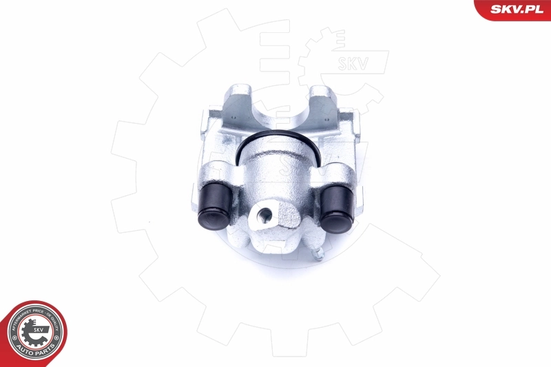 Brake Caliper 42SKV854
