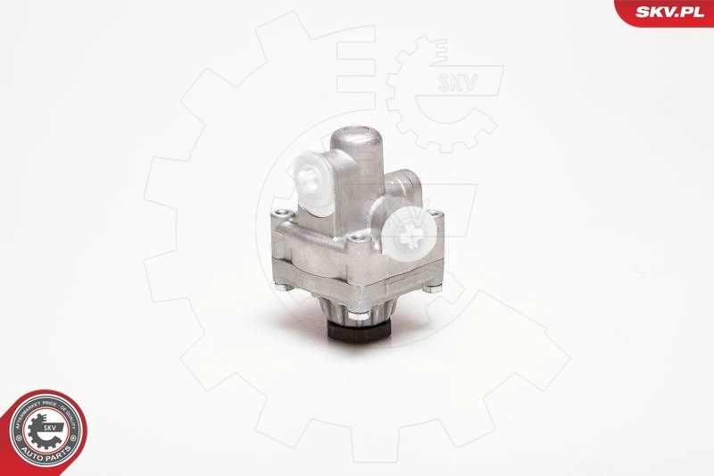 Hydraulic Pump, steering 10SKV017