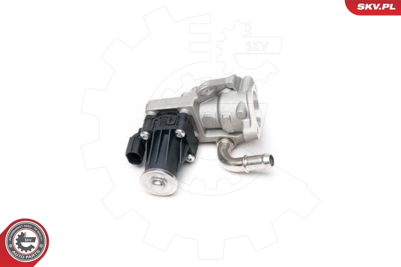 EGR Valve 14SKV101