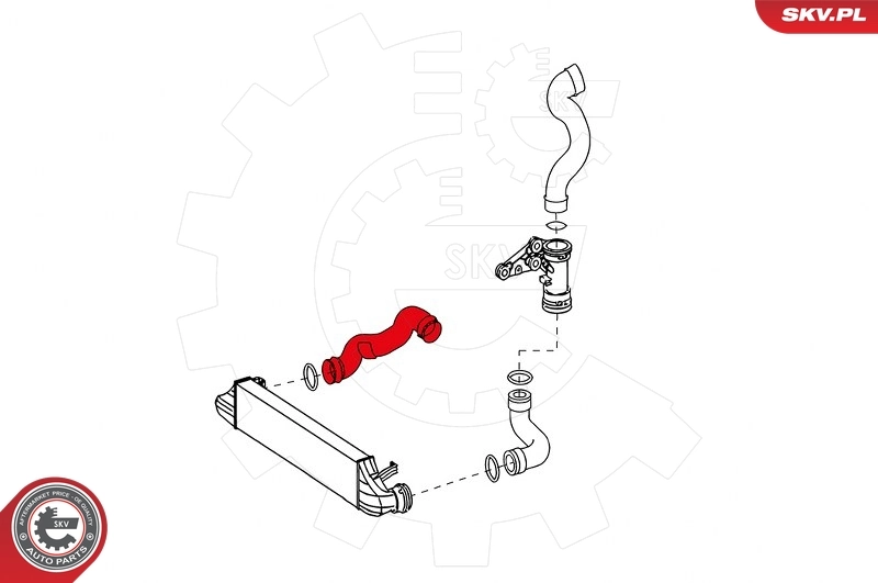 Charge Air Hose 24SKV623