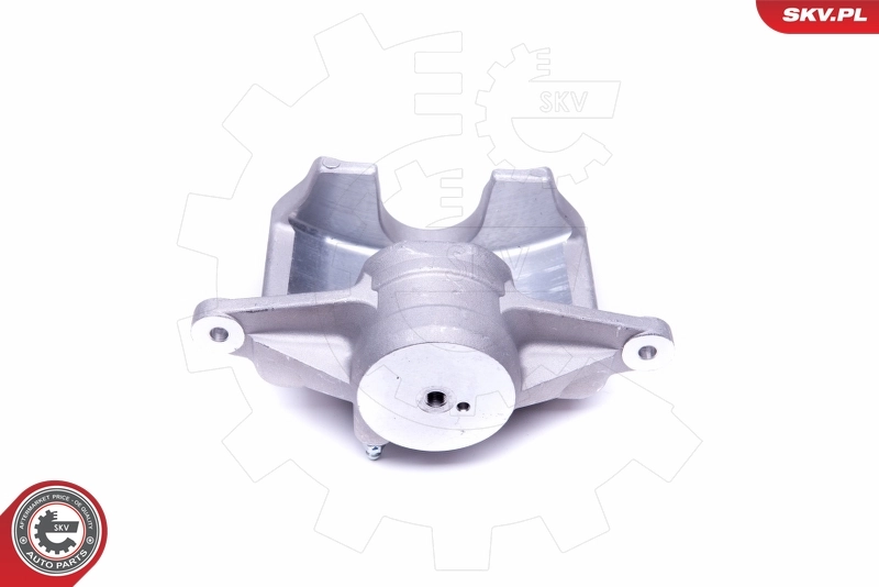 Brake Caliper 50SKV392