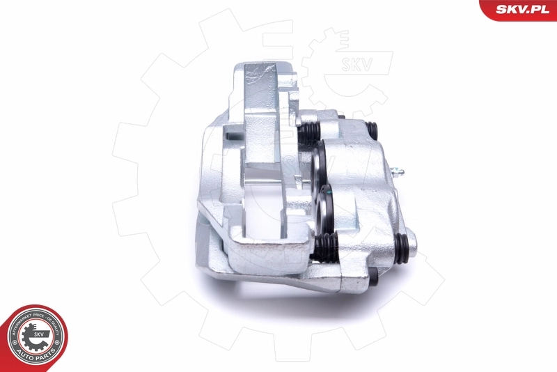 Brake Caliper 50SKV261