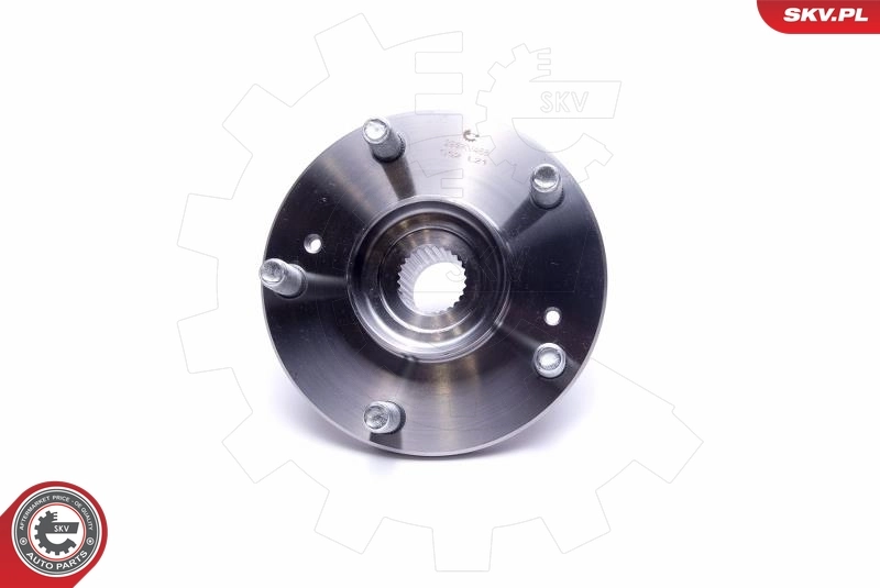 ESEN SKV 29SKV468 Wheel Bearing Kit