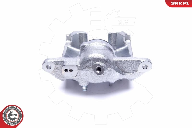 ESEN SKV 50SKV972 Brake Caliper