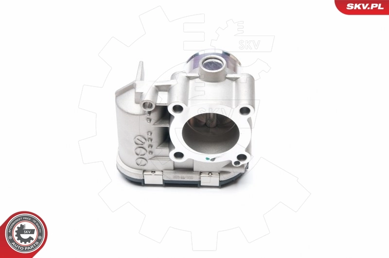 ESEN SKV 12SKV041 Throttle Body