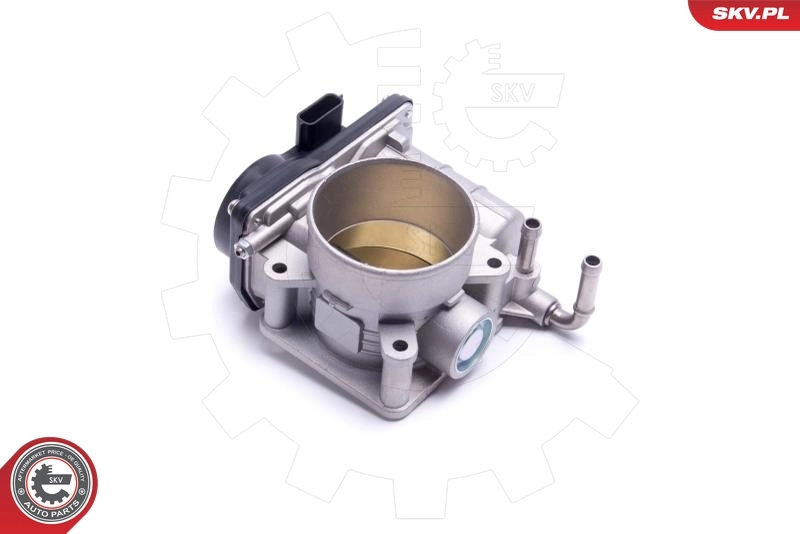 Throttle Body 12SKV122