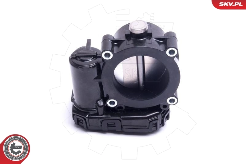 ESEN SKV 12SKV120 Throttle Body
