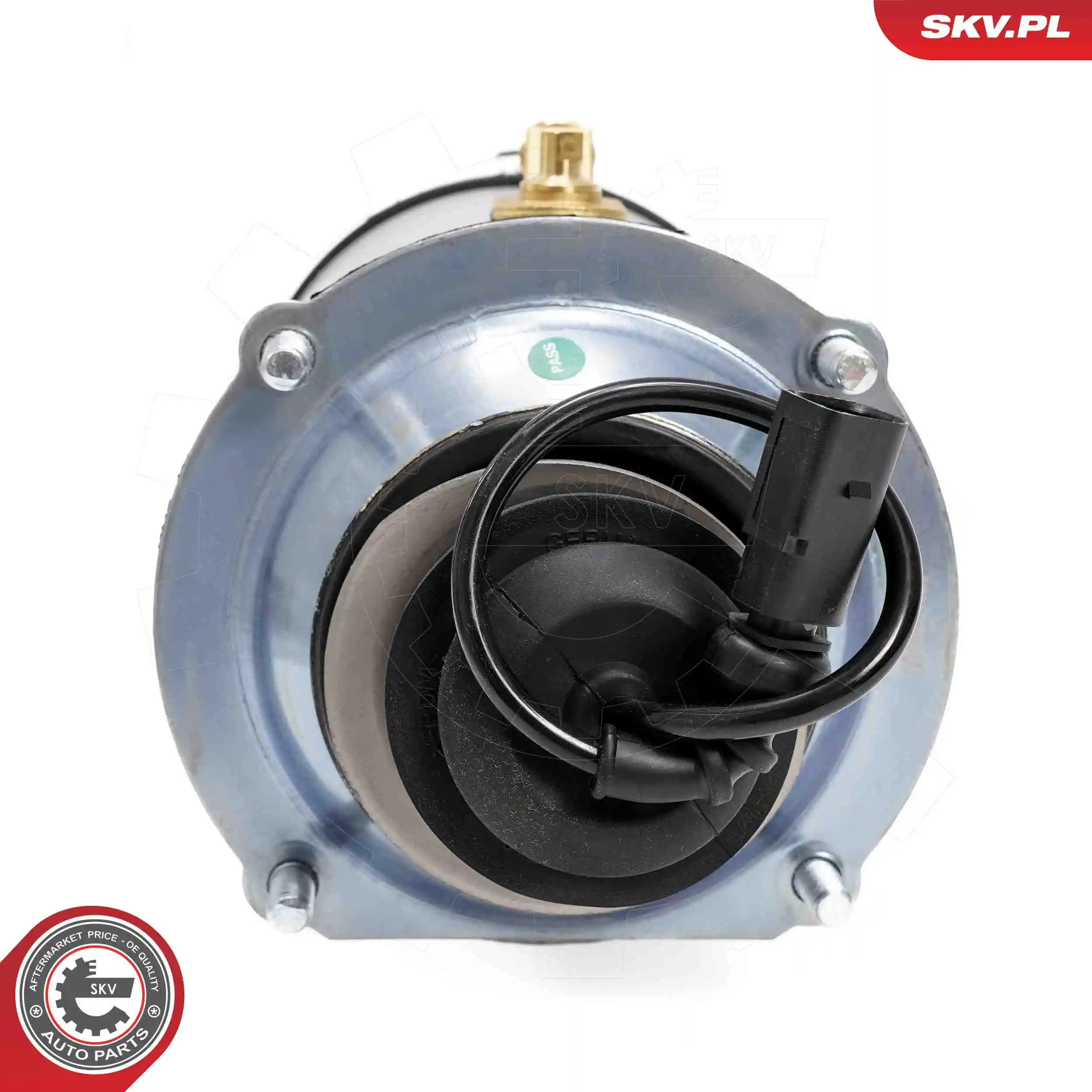 Air Suspension Strut 58SKV701