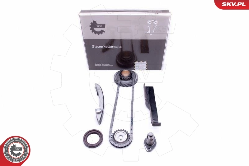 Timing Chain Kit 21SKV214