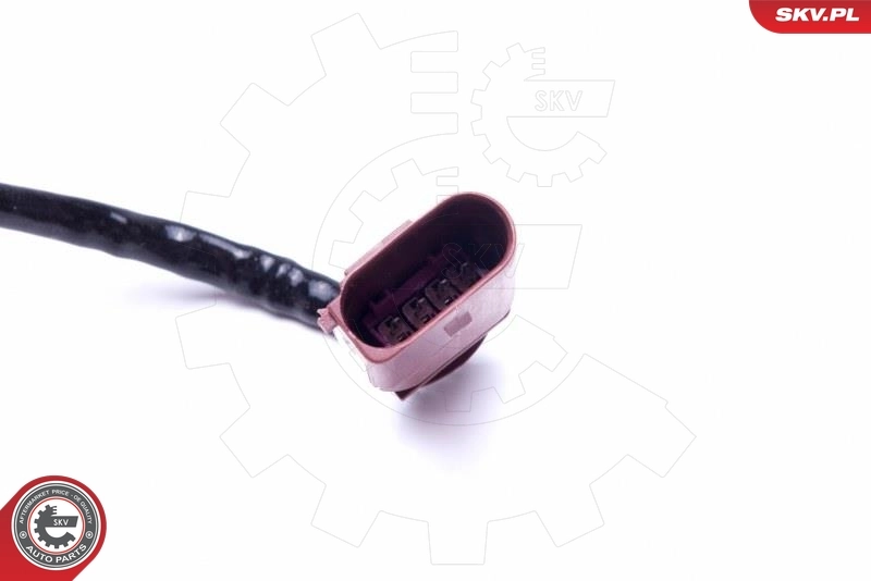 Oxygen Sensor 09SKV117