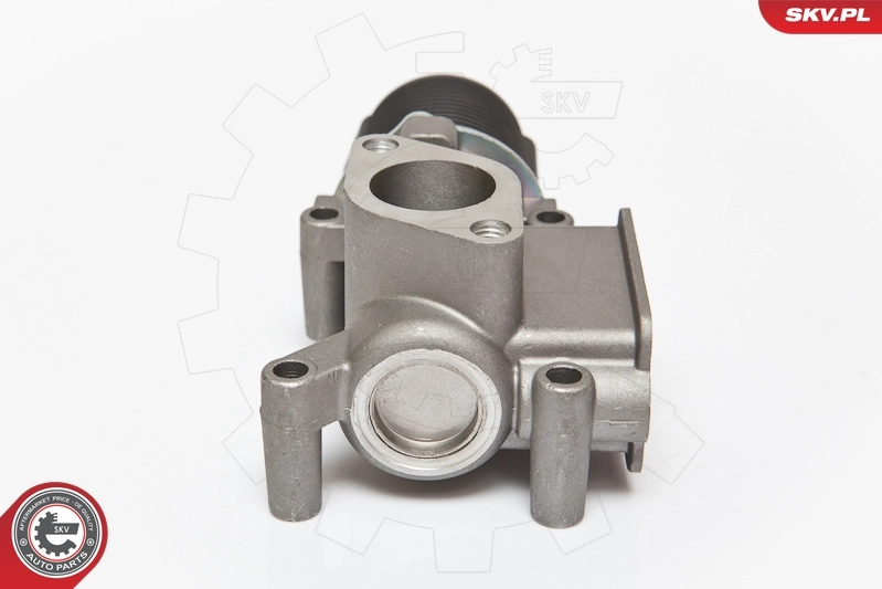 EGR Valve 14SKV064
