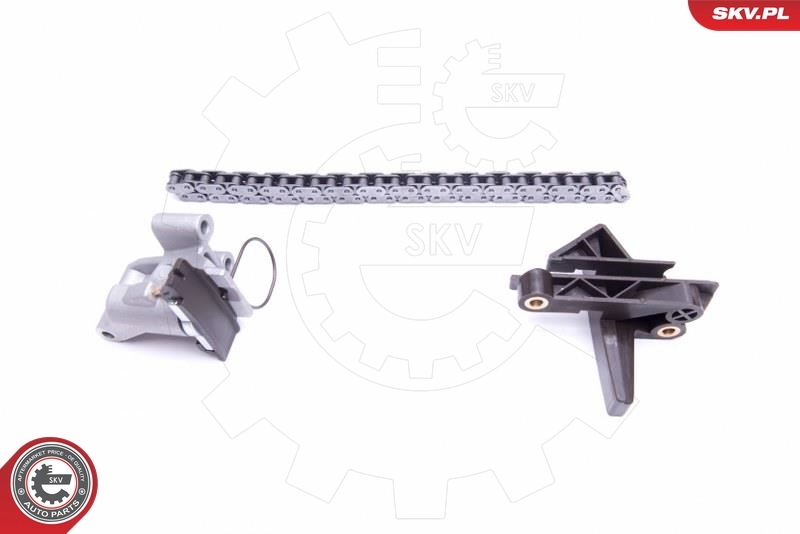 Timing Chain Kit 21SKV135