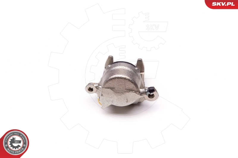Brake Caliper 34SKV272