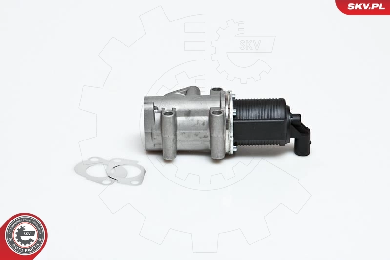 EGR Valve 14SKV006
