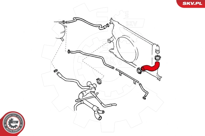 Radiator Hose 24SKV325