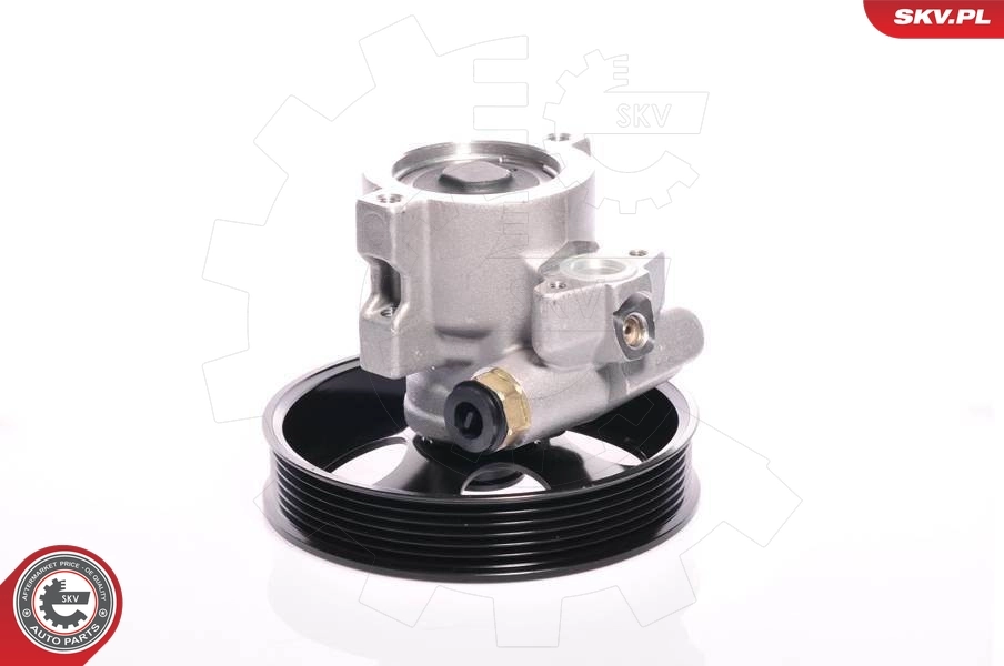 Hydraulic Pump, steering 10SKV143