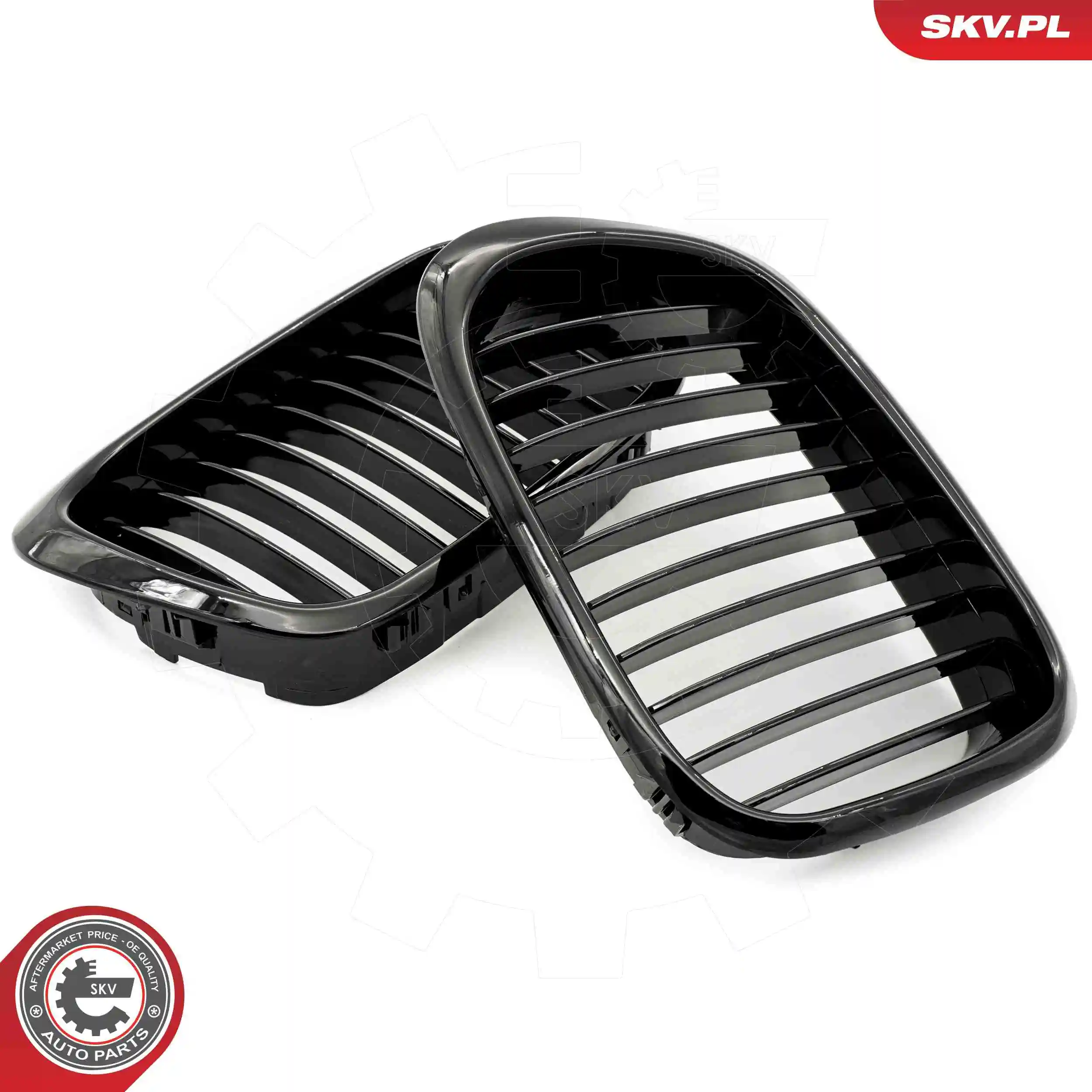 Radiator Grille 66SKV156