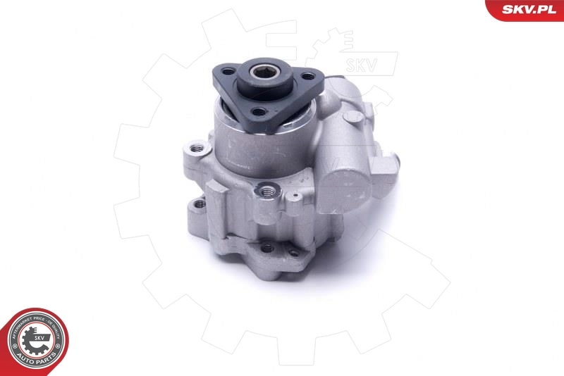 Hydraulic Pump, steering 10SKV291