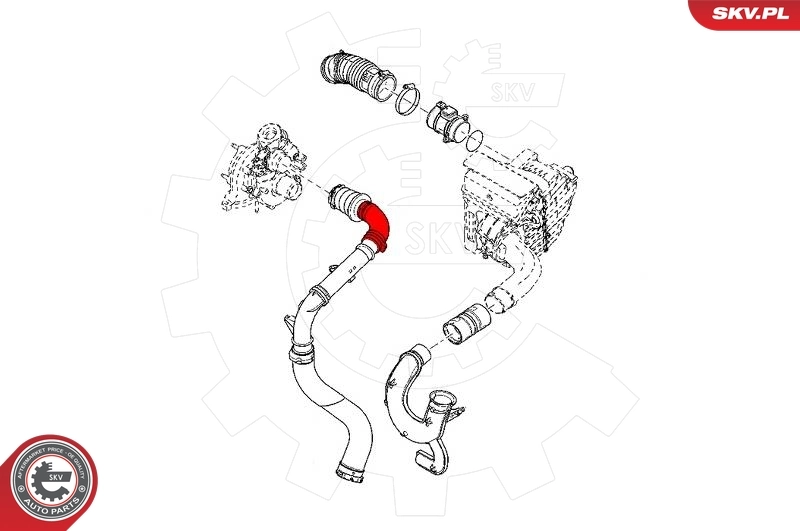 Charge Air Hose 43SKV281