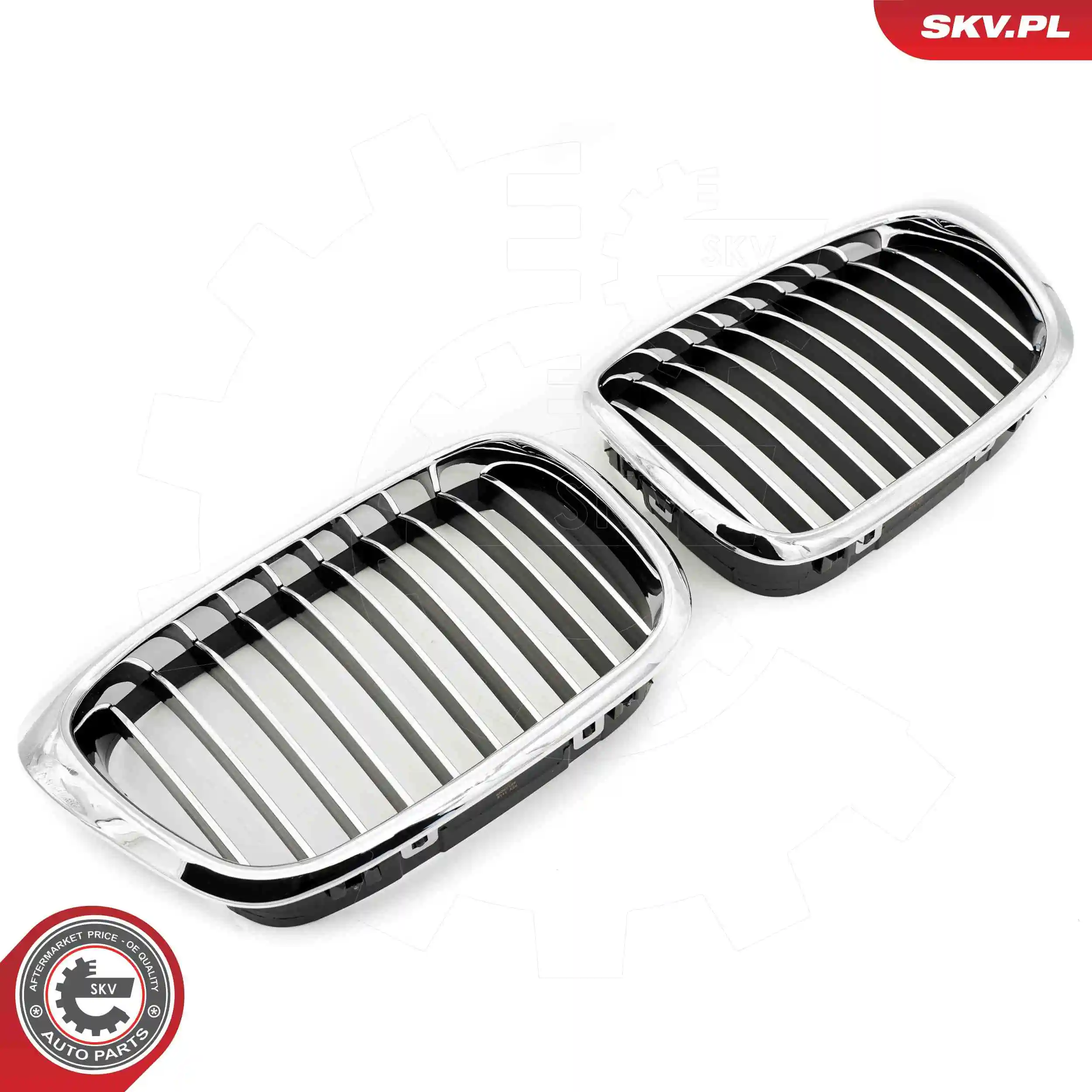 Radiator Grille 66SKV159