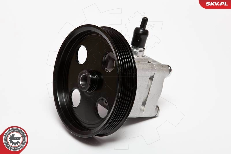 Hydraulic Pump, steering 10SKV074