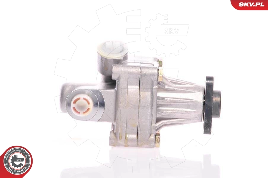 Hydraulic Pump, steering 10SKV011