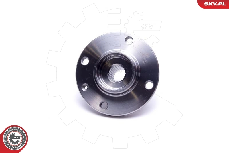 ESEN SKV 29SKV536 Wheel Bearing Kit