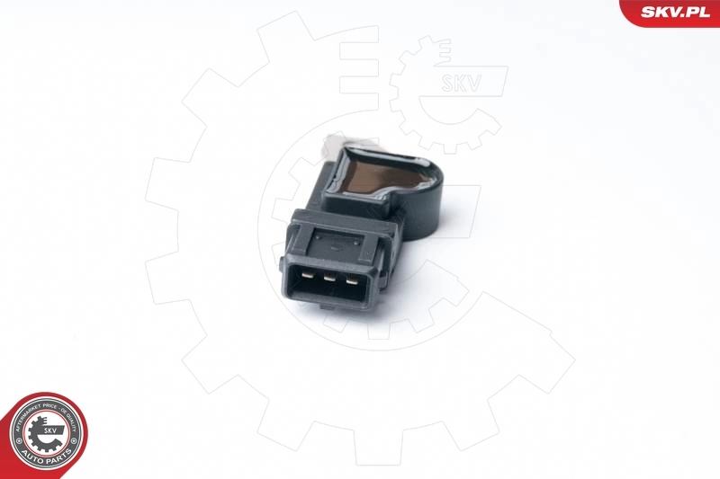 Sensor, camshaft position 17SKV250