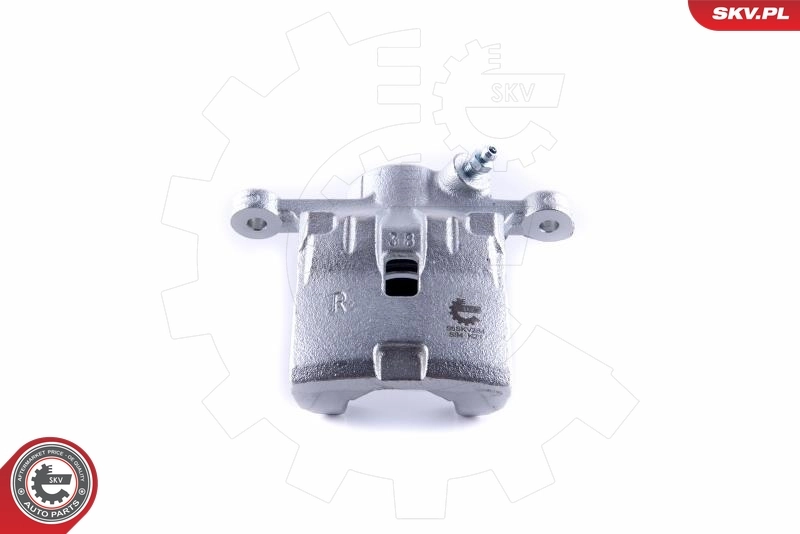 Brake Caliper 55SKV284