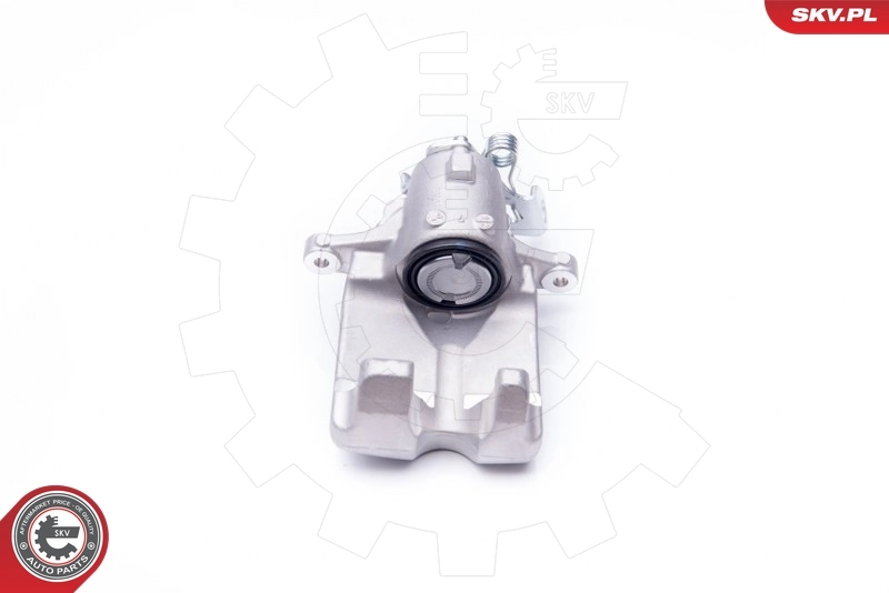 Brake Caliper 42SKV063