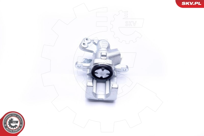 Brake Caliper 42SKV213
