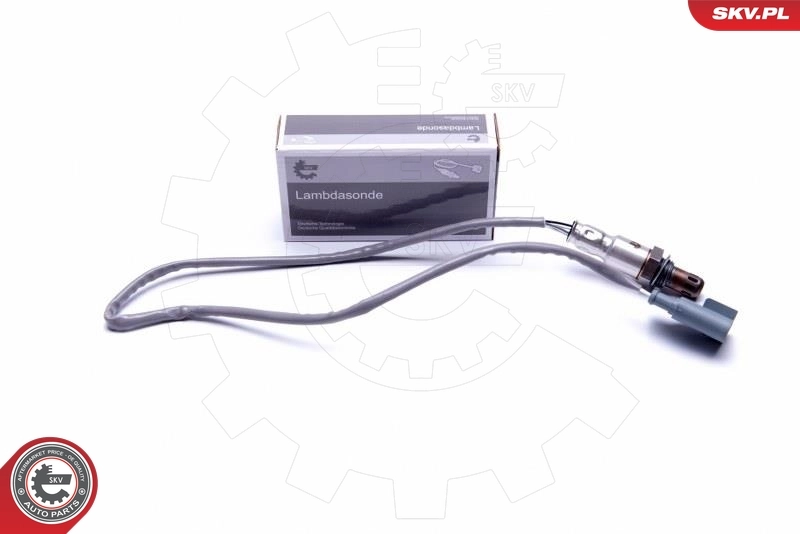 Oxygen Sensor 09SKV116
