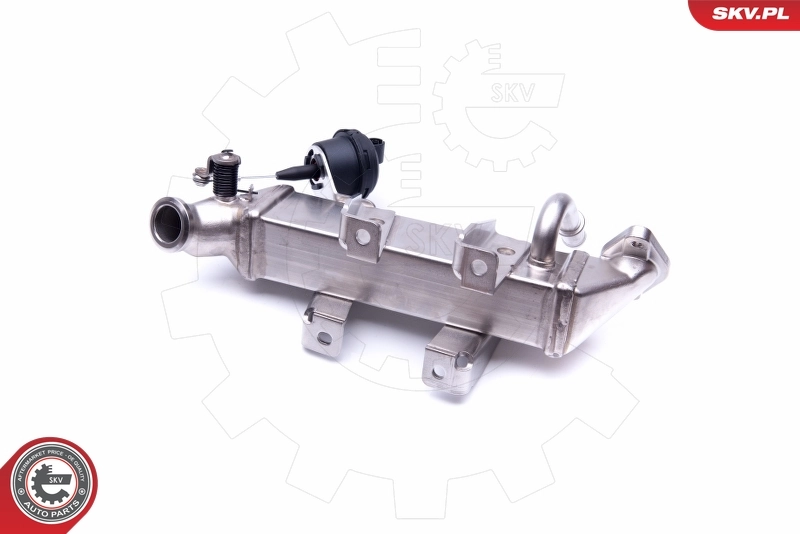 Cooler, exhaust gas recirculation 14SKV199