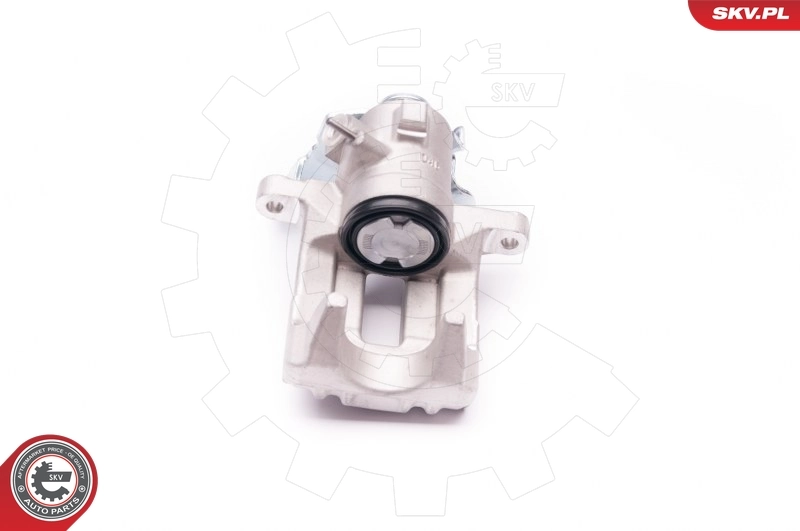 Brake Caliper 23SKV017