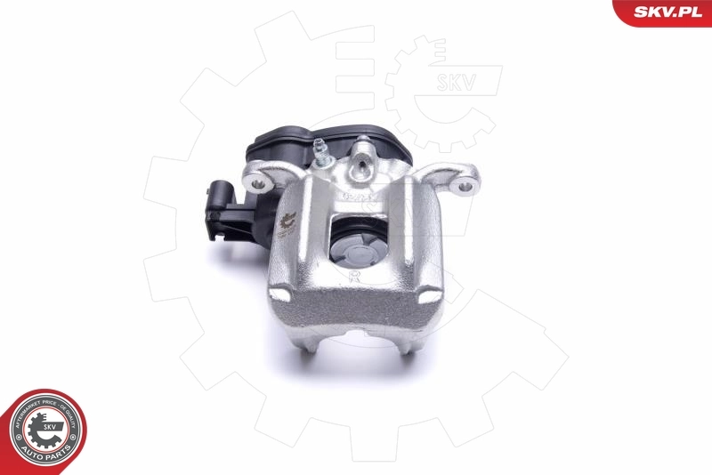 Brake Caliper 55SKV424