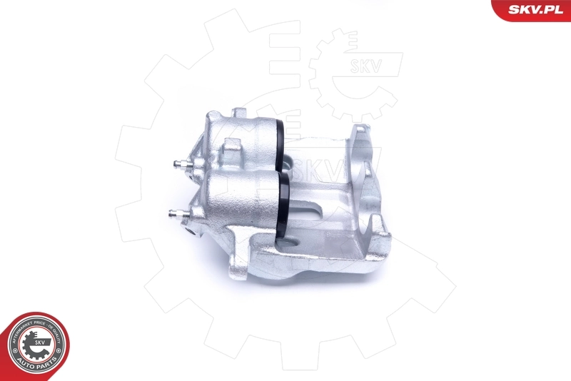 Brake Caliper 42SKV721