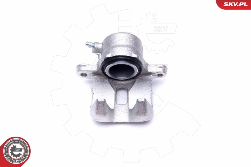 Brake Caliper 42SKV142