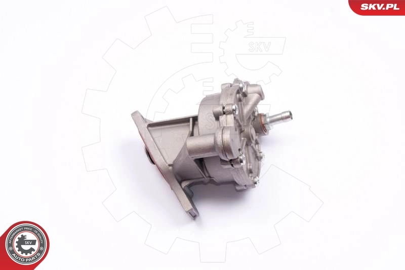 Vacuum Pump, braking system 18SKV013