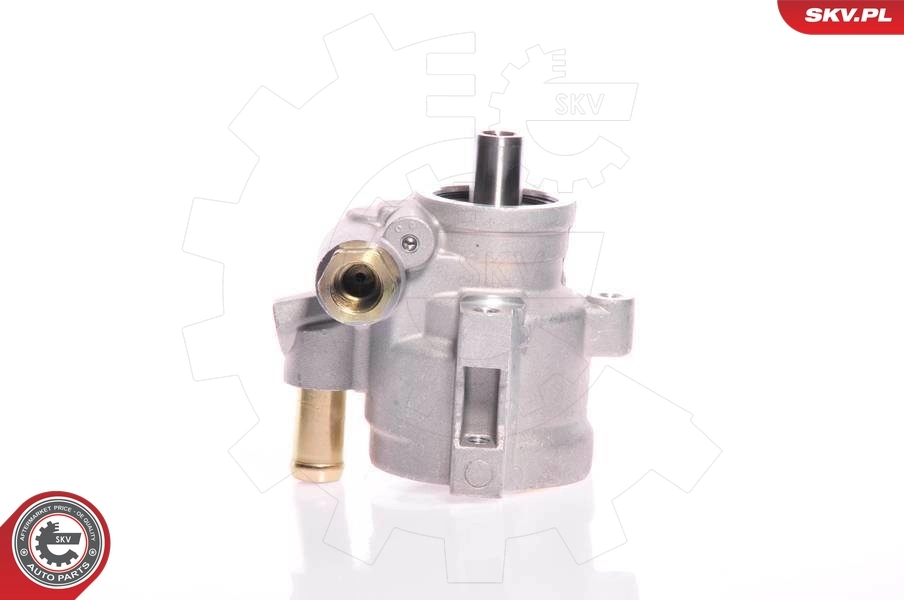 Hydraulic Pump, steering 10SKV154