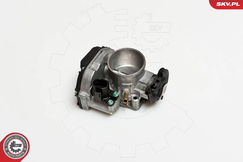 Throttle Body 12SKV034