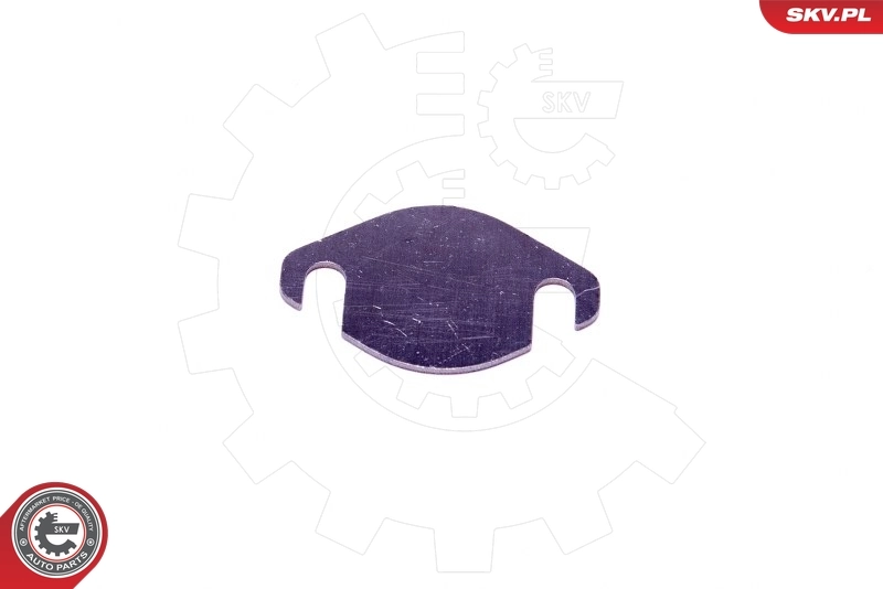 ESEN SKV 14SKV538 Repair Set, EGR valve