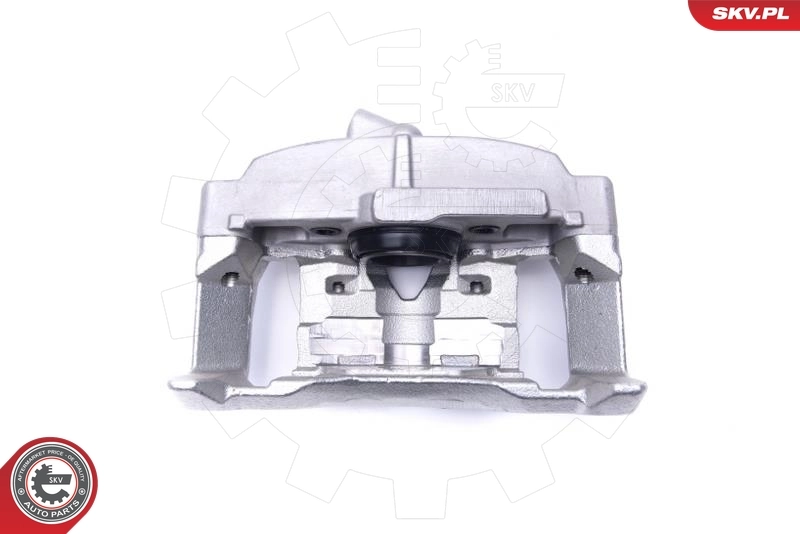 Brake Caliper 55SKV781