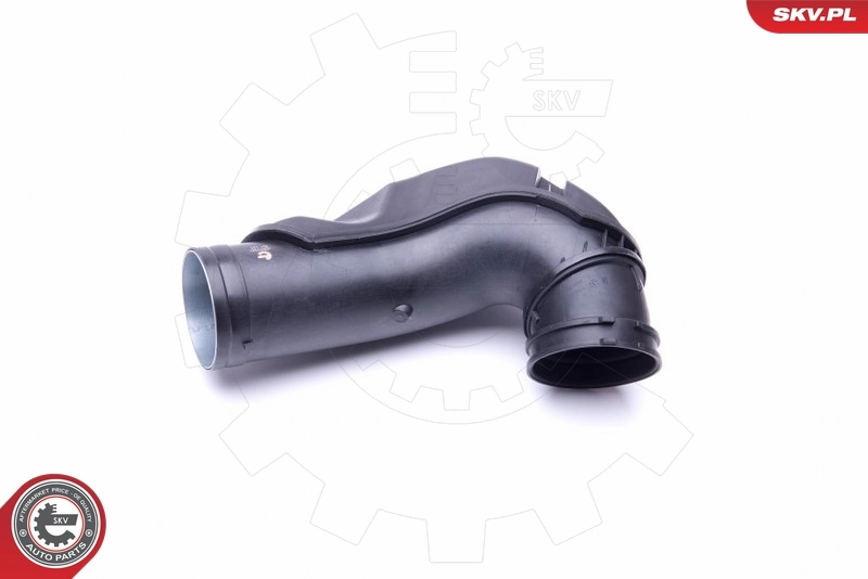 Slang masuk, filter udara 43SKV921