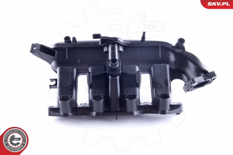 Intake Manifold Module 49SKV058