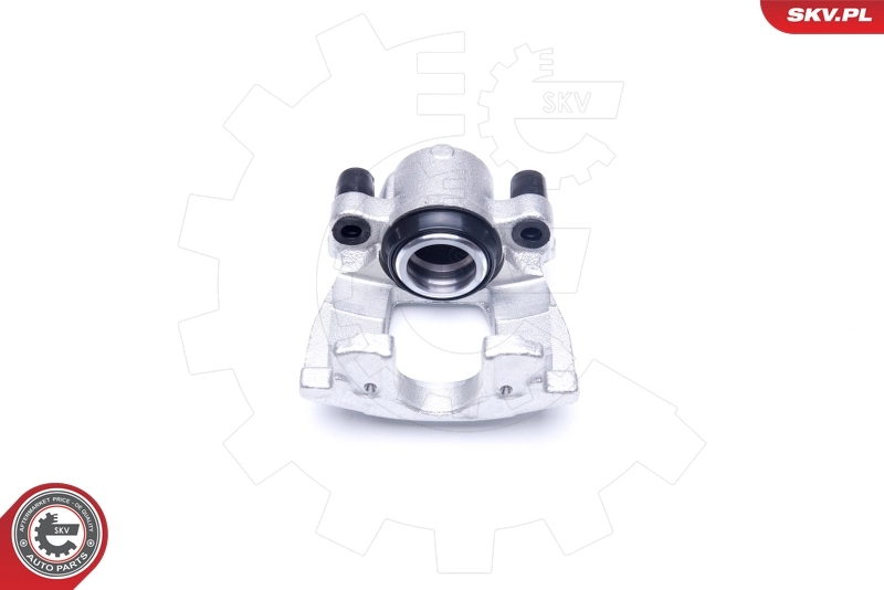 Brake Caliper 42SKV261