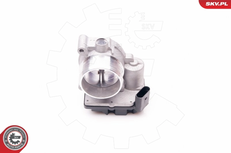 Throttle Body 12SKV059