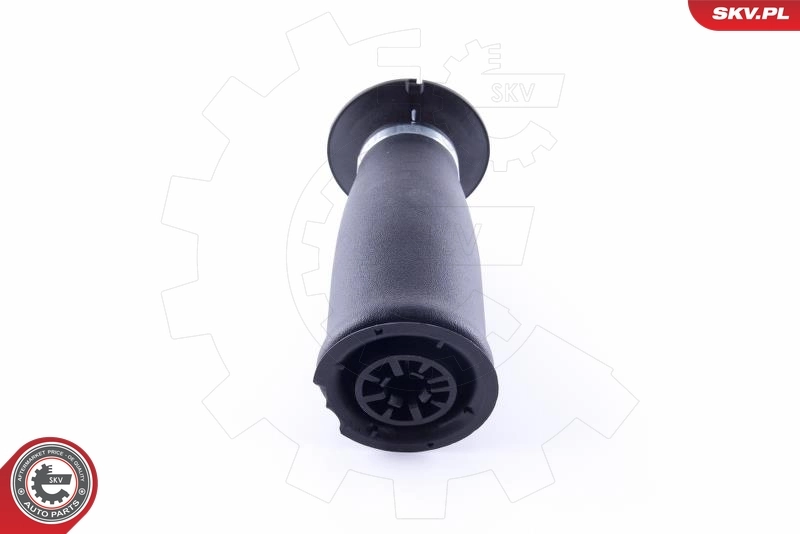 Air Spring, suspension 58SKV021