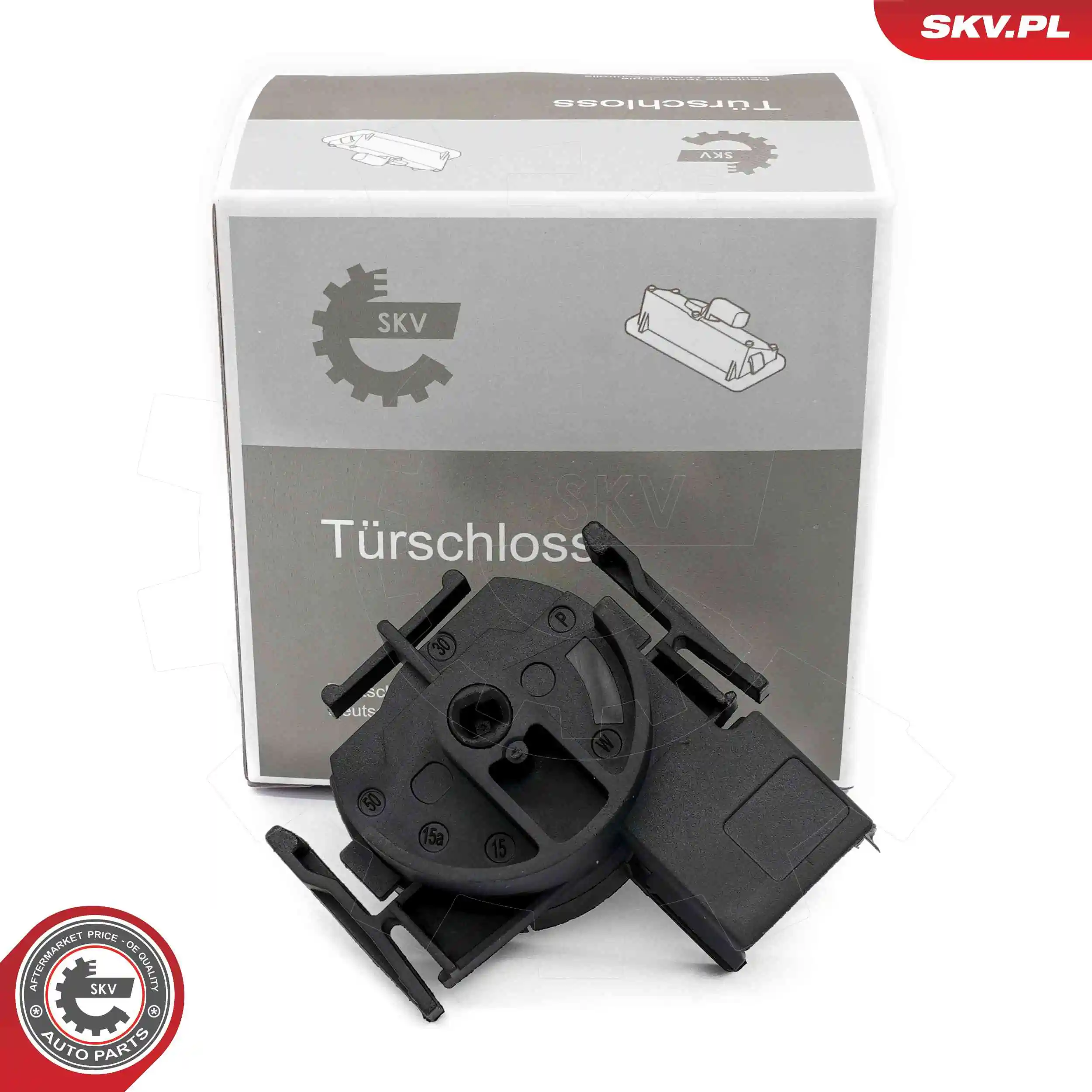 Ignition Switch 65SKV031